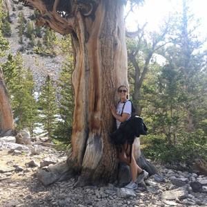 Meet your Posher, Chandler